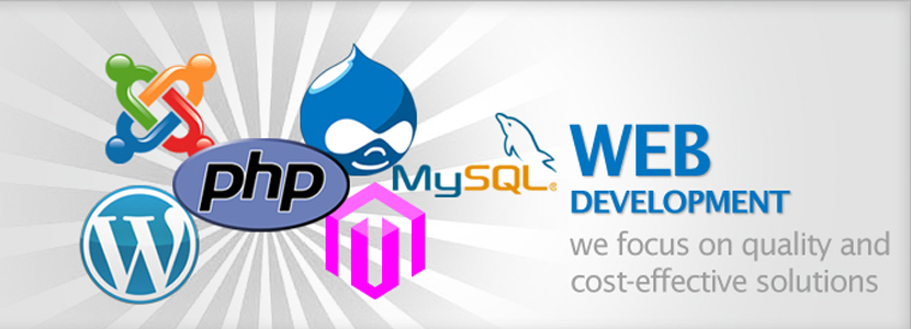 Web Development 